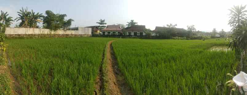 dijual tanah sawah belakang smkn 1 sukatani purwakarta