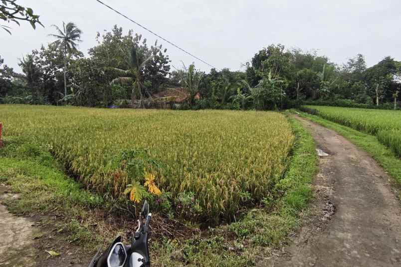 dijual tanah sawah produktif akses jl mobil