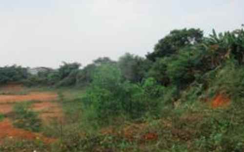 dijual tanah strategis di narogong cileungsi bogor