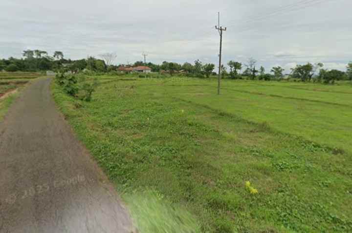dijual tanah strategis pinggir jalan desa