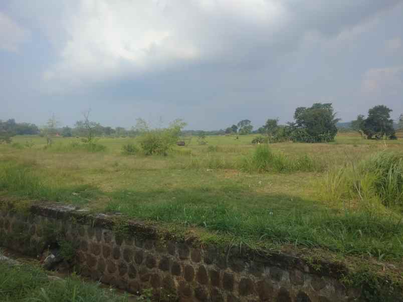 dijual tanah strategis pinggir jalan kabupaten