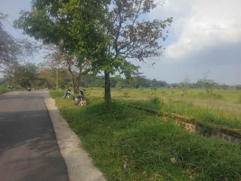 dijual tanah strategis pinggir jalan kabupaten