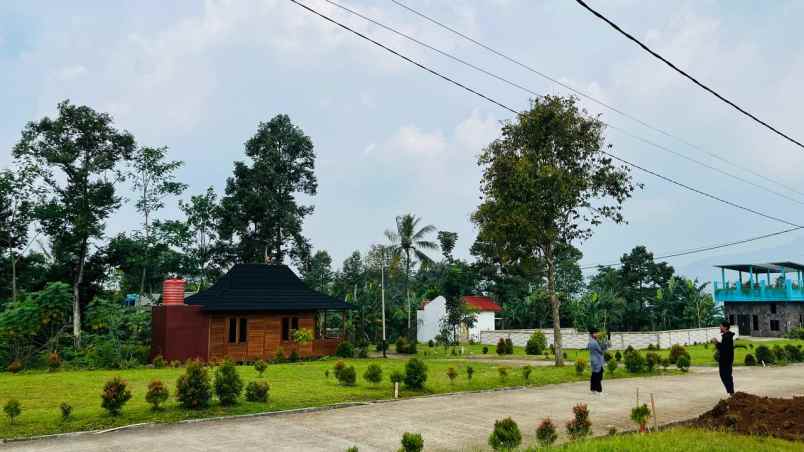 dijual tanah sukamakmur bogor