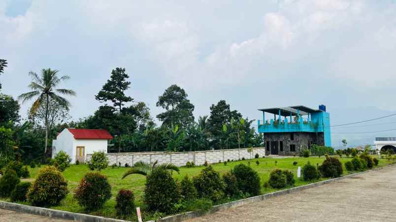 dijual tanah sukamakmur bogor