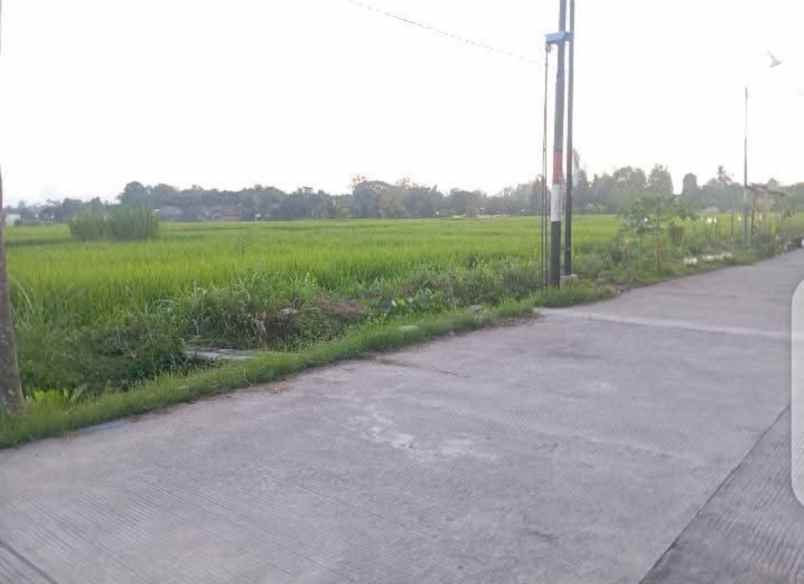 dijual tanah sumberharjo prambanan
