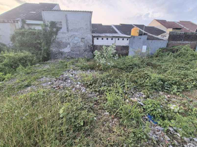 dijual tanah tanah tambak medokan ayu