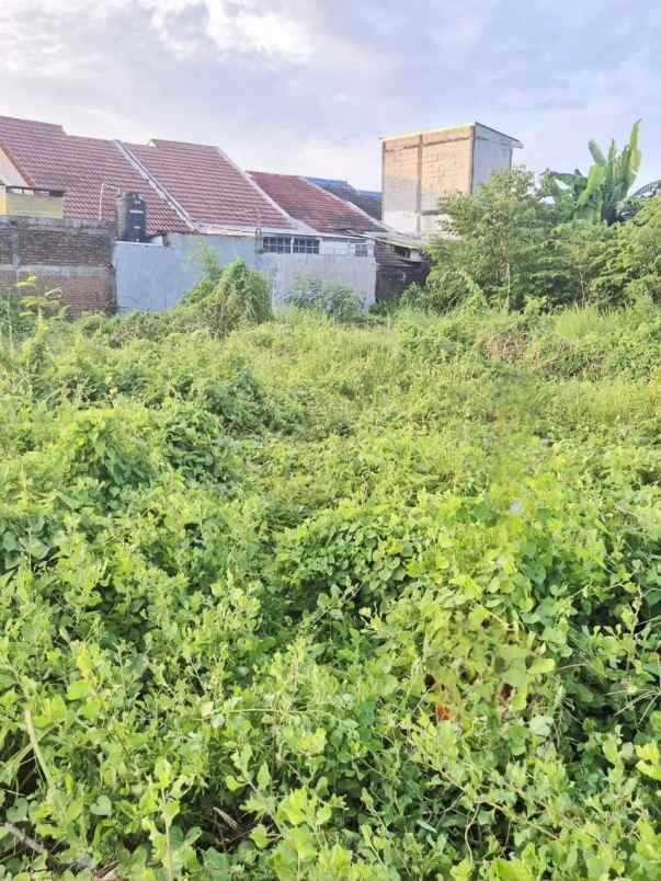 dijual tanah tanah tambak medokan ayu