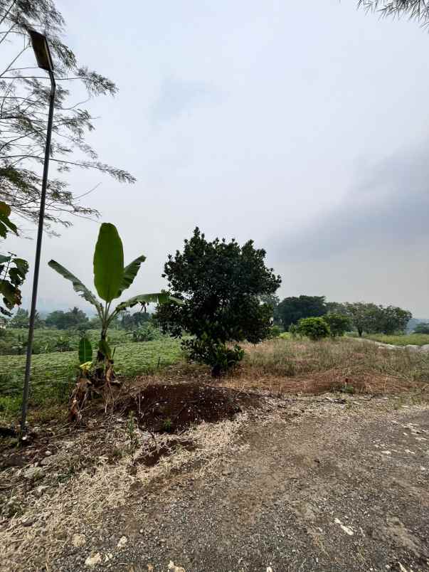 dijual tanah tangkil kec citereup