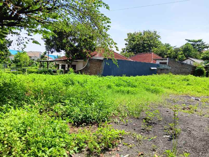 dijual tanah telaga bodas