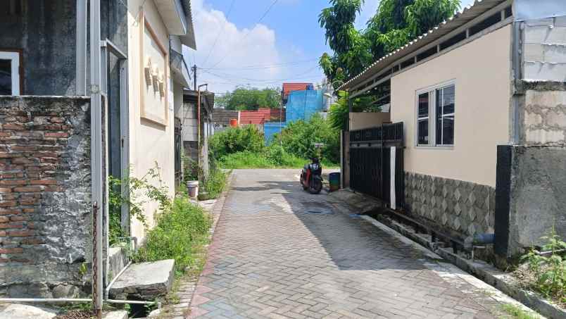 dijual tanah tlogo pacing