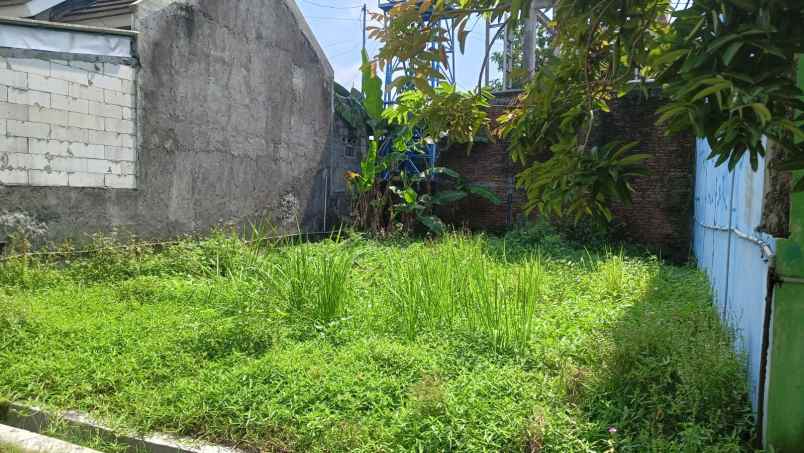dijual tanah tlogo pacing