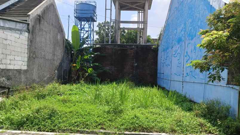 dijual tanah tlogo pacing