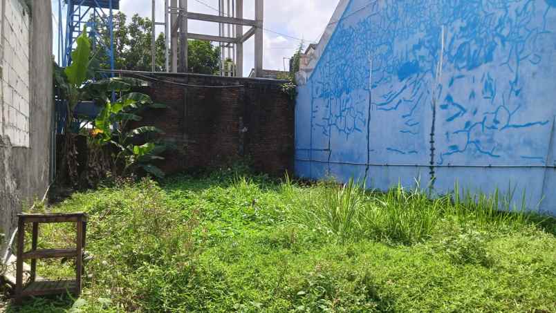 dijual tanah tlogo pacing