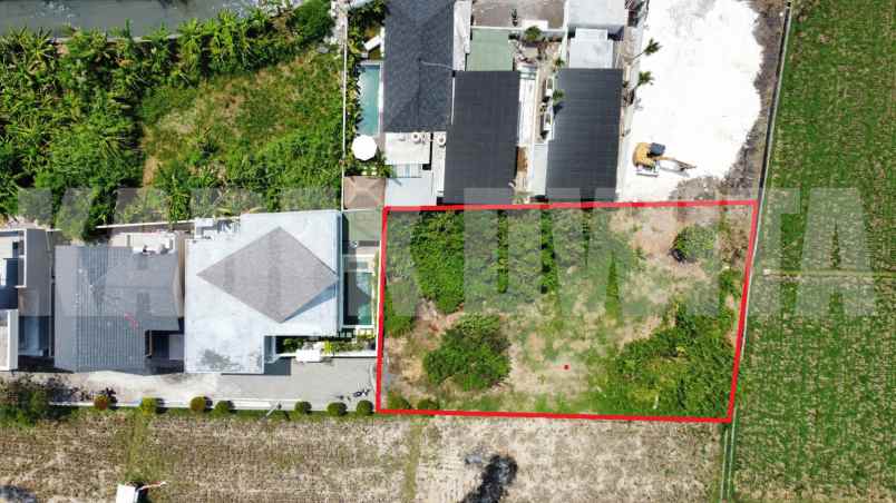 dijual tanah view sawah amanlane sunset road seminyak