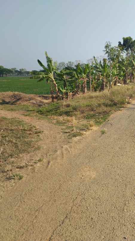 dijual tanah zona kuning subang