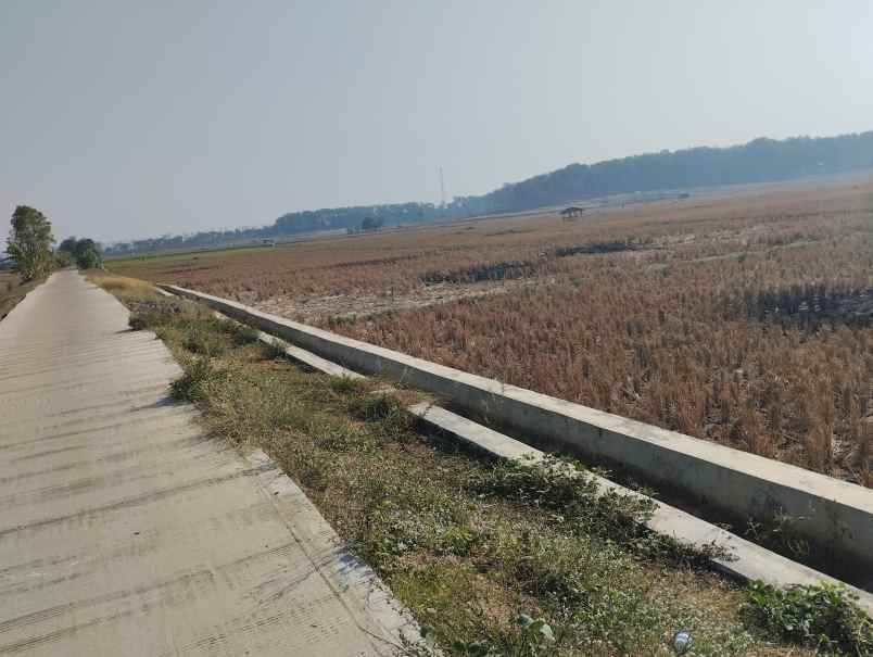 dijual tanah zona kuning subang
