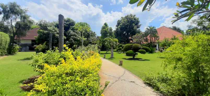 dijual vila dgn pasilitas modern di lovina