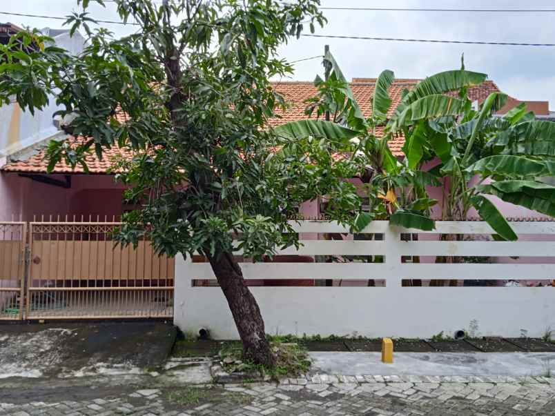 disewakan rumah rungkut barata