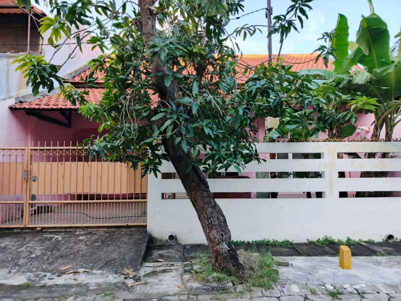 disewakan rumah rungkut barata