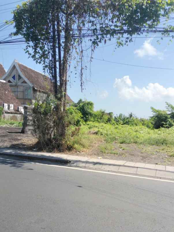 disewakan tanah babakan canggu