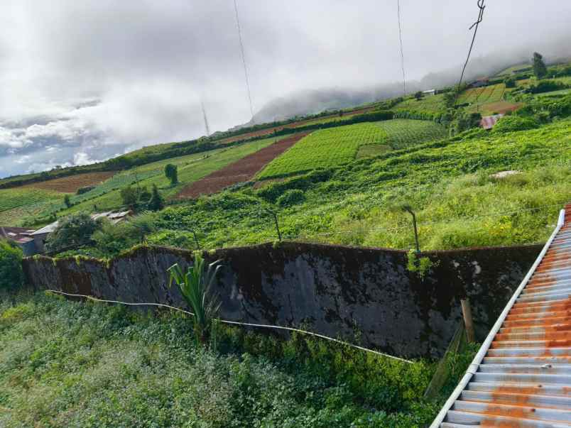 jual tanah kavling malino