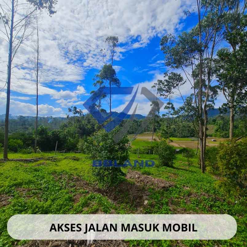 jual tanah murah di ciwidey