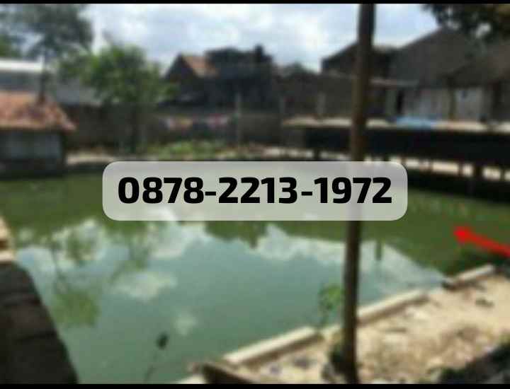 murah kontrakan kost dekat ke mtc margahayu