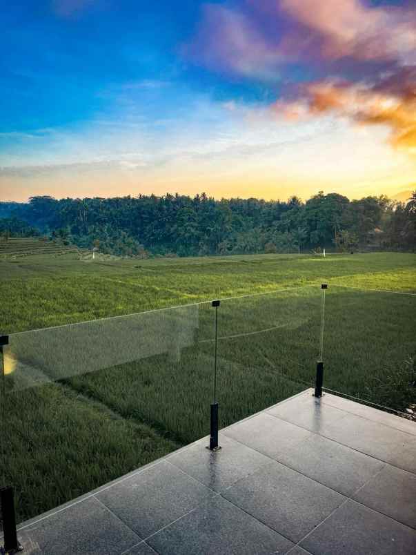 rice field view villa near ubud
