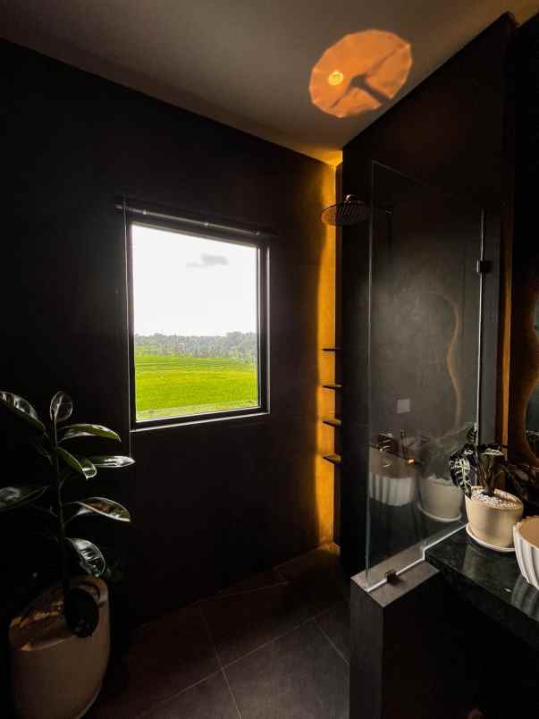rice field view villa near ubud