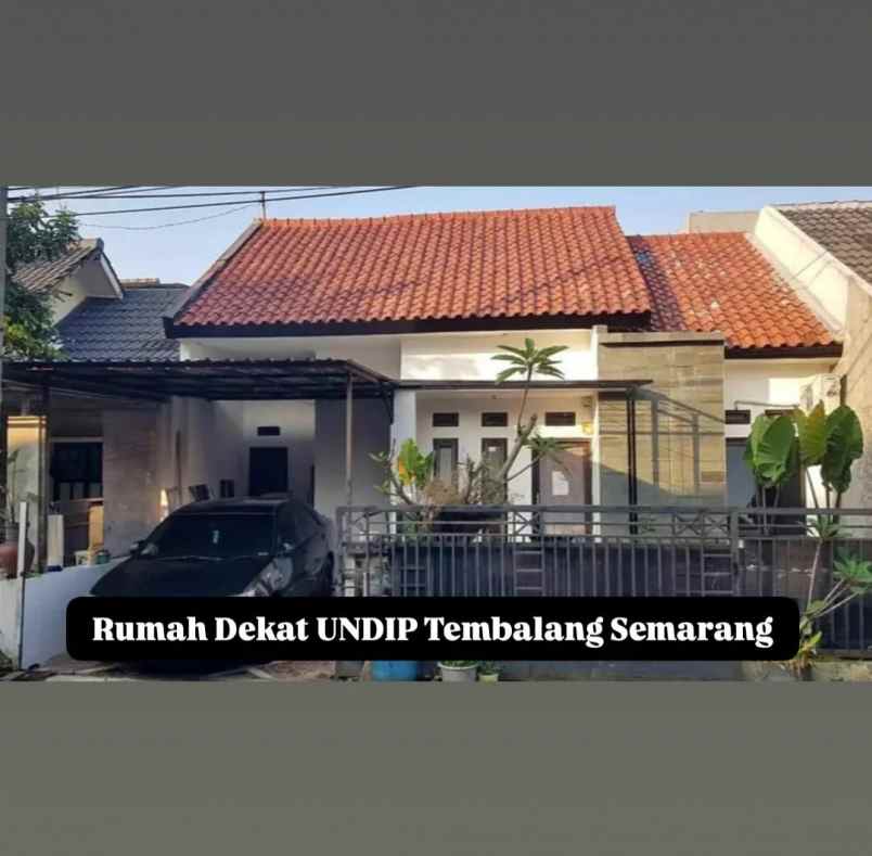 rumah dekat undip tembalang semarang