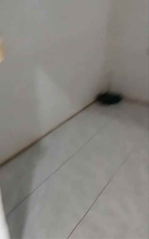 rumah kos siap panen 21 kamar full penghuni