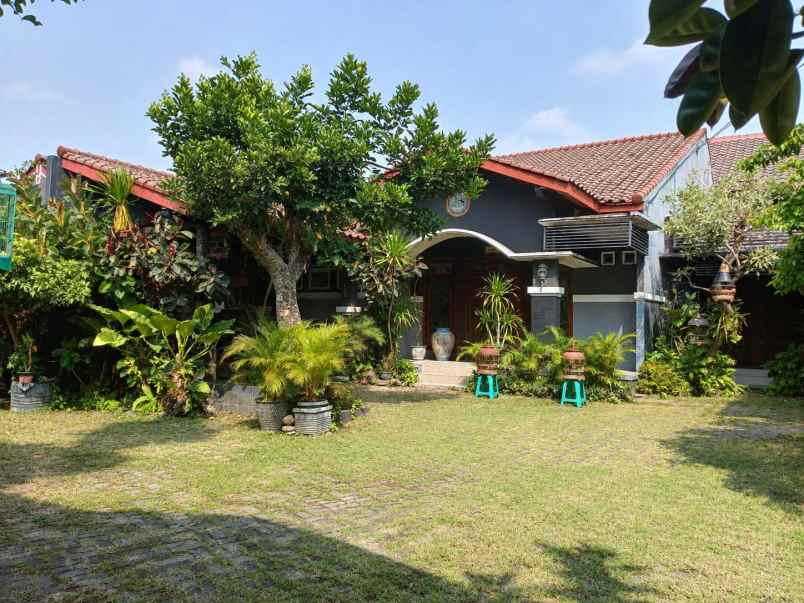 rumah tanah luas 600 m di sleman