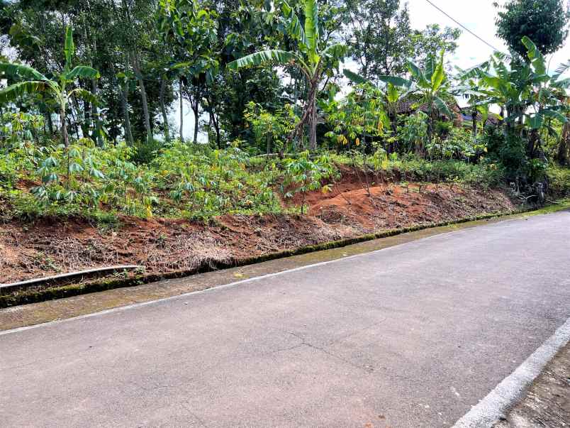 tanah 1 5 hektar jalan aspal kerjo karanganyar