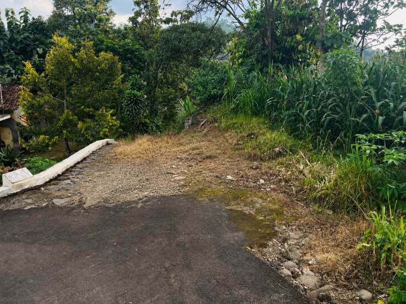 tanah 1640m utara candi cetho karanganyar timur