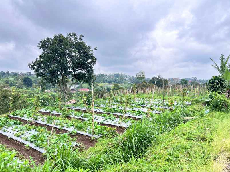 tanah 3800m kawasan wisata kemuning solo raya