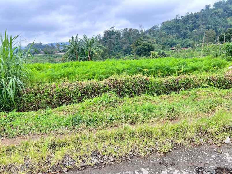 tanah 3800m kawasan wisata kemuning solo raya