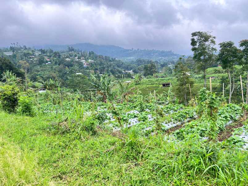 tanah 3800m kawasan wisata kemuning solo raya