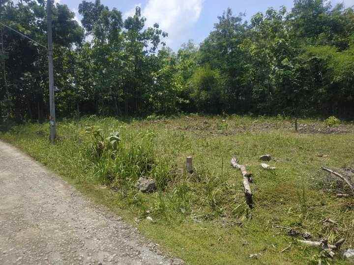 tanah 85 juta dekat pasar gemolong sragen