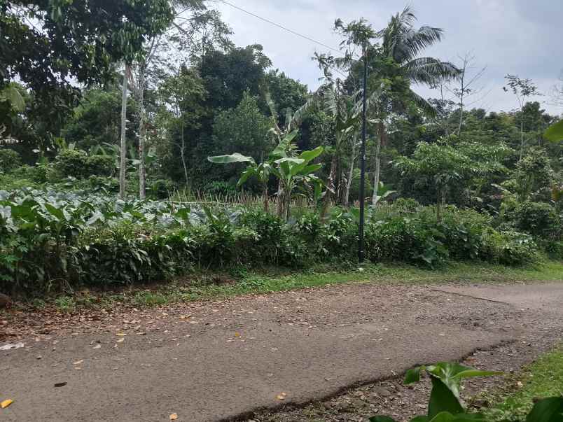 tanah darat datar ciater subang jawa barat