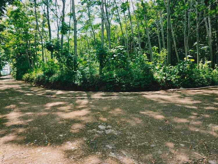 tanah desa wisata mojogedang