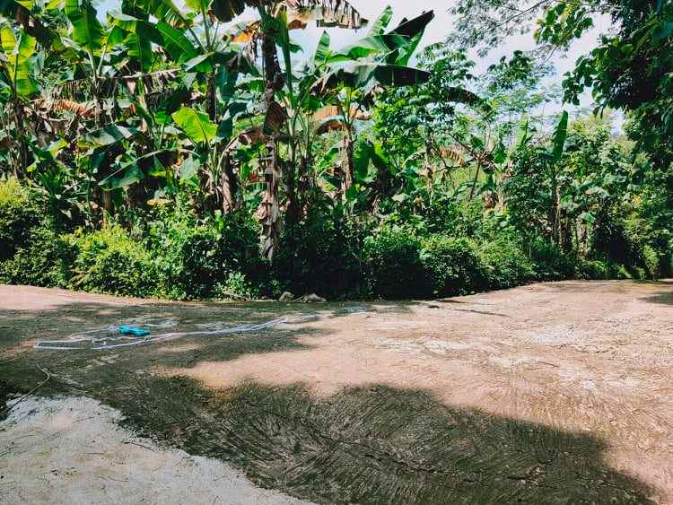 tanah desa wisata mojogedang