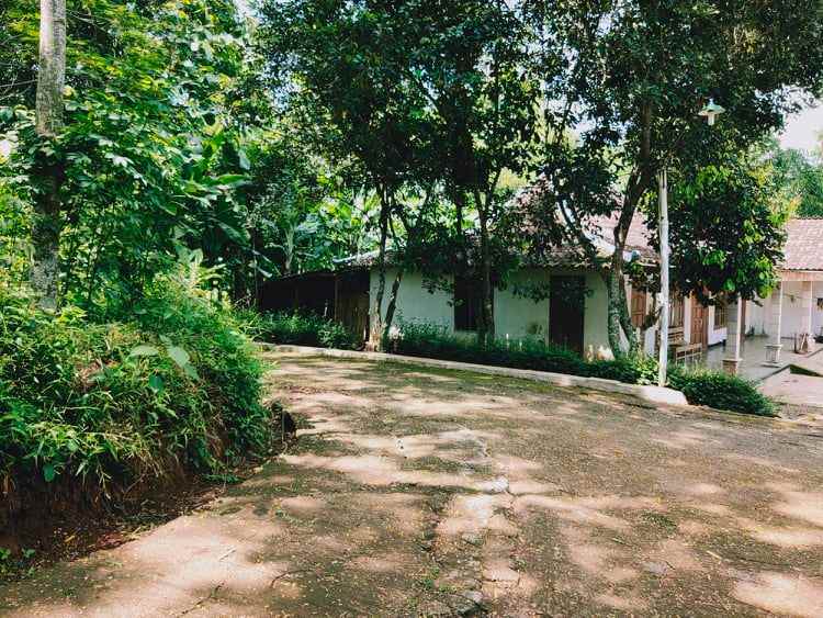 tanah desa wisata mojogedang