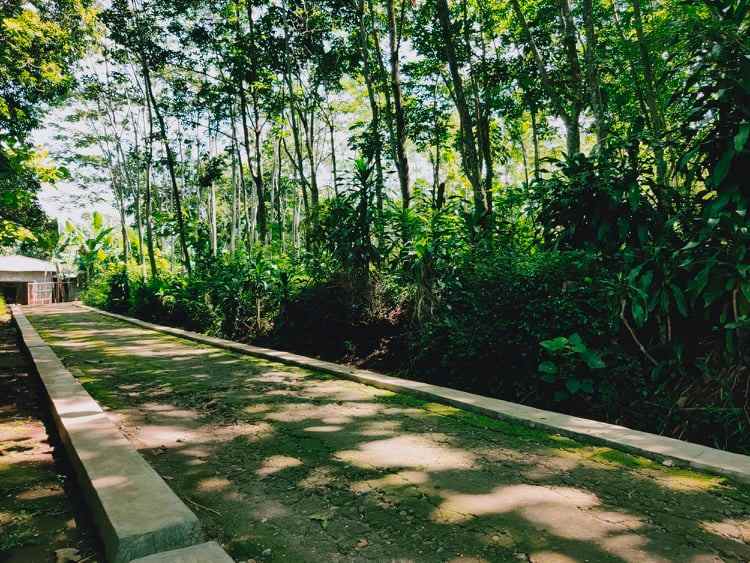 tanah desa wisata mojogedang