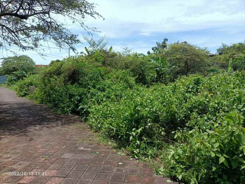 tanah di mumbul dekat nusa dua bali