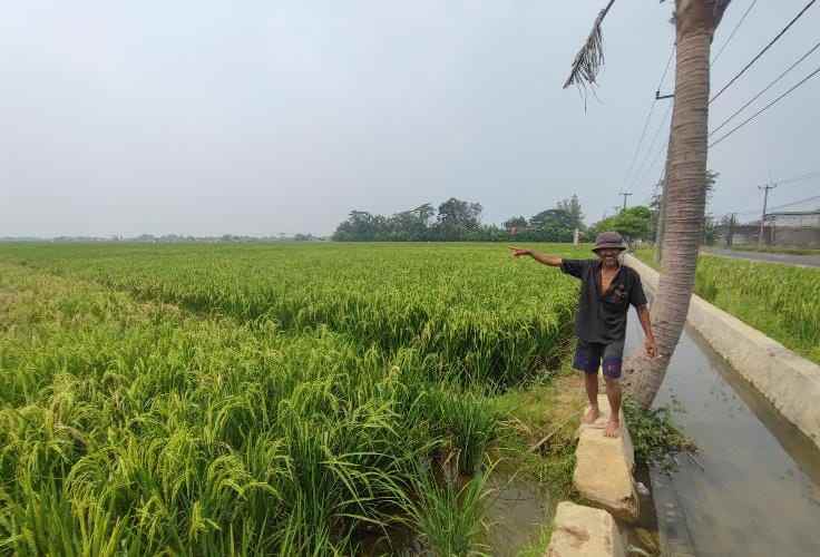 tanah dijual jalan pilang blok migas wonoayu sidoarjo