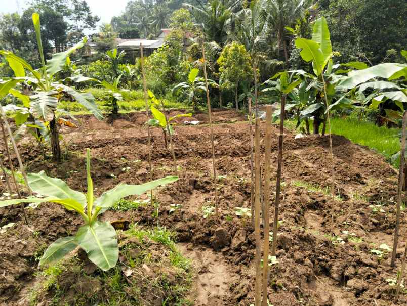 tanah idaman 750m dekat sungai pegunungan karanganyar