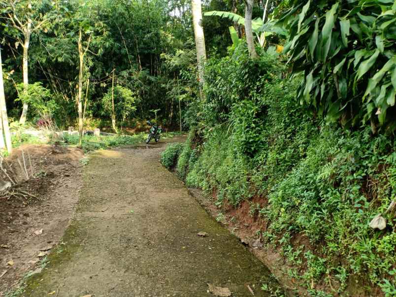 tanah karangpandan karanganyar