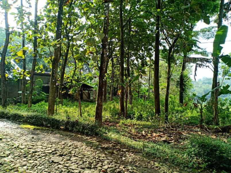 tanah karangpandan karanganyar