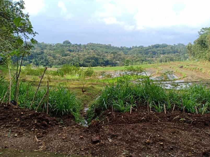 tanah karangpandan karanganyar