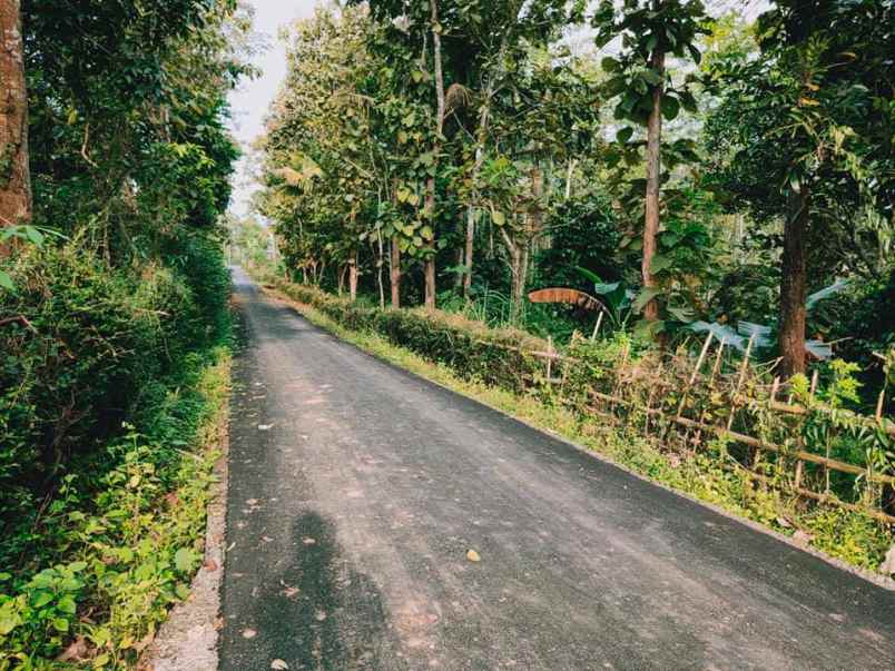 tanah karangpandan karanganyar